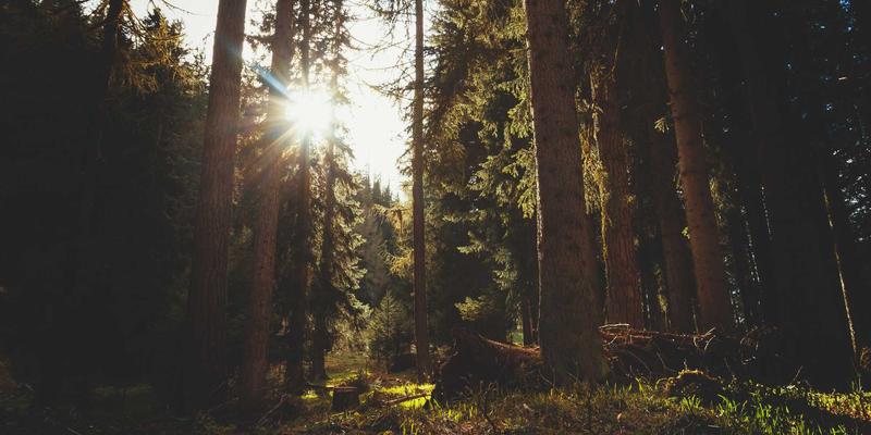 探秘Muasam Cangay：穿越时空的历史遗迹与不朽的传统节日