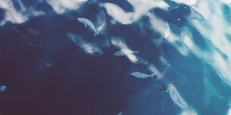 揭秘菲律宾Muasam Cangay：酸辣交融的饮食瑰宝与独特烹饪智慧